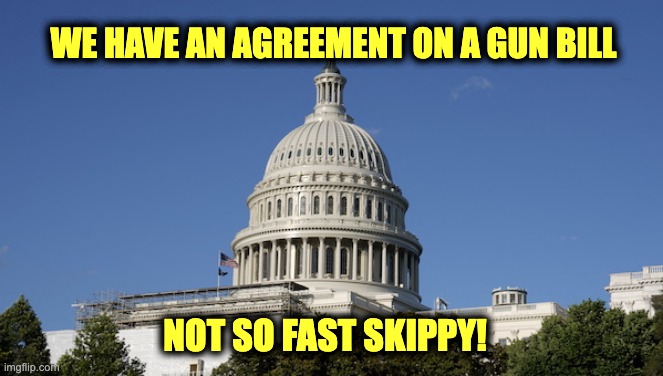 bipartisan gun bill