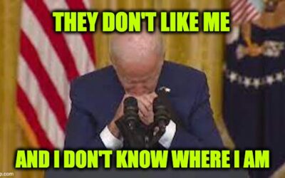 Joe Biden Has Lowest POTUS Confidence Level In Half Century