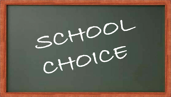 school choices