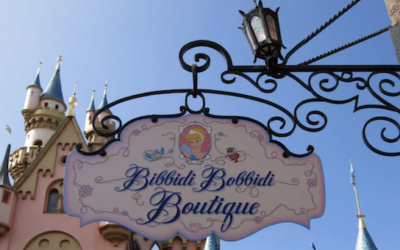Disney Theme Parks Are Going Stupid