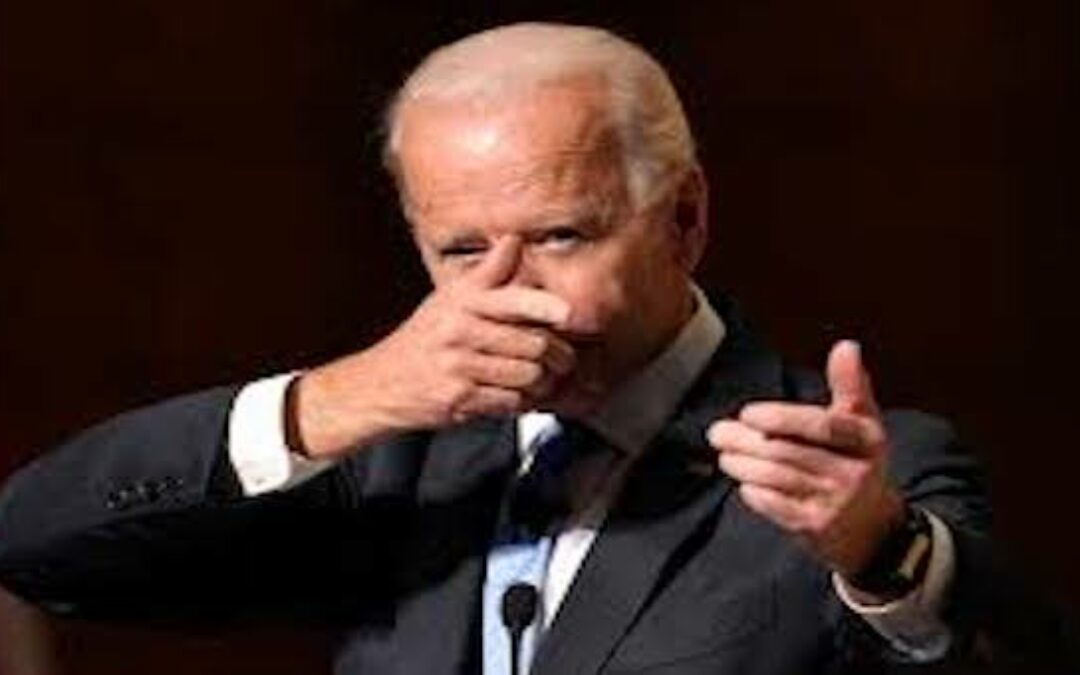 Biden Lies About AR-15s, Claims Bullets Travel 5x Times Faster Than Any Other Round (Video)