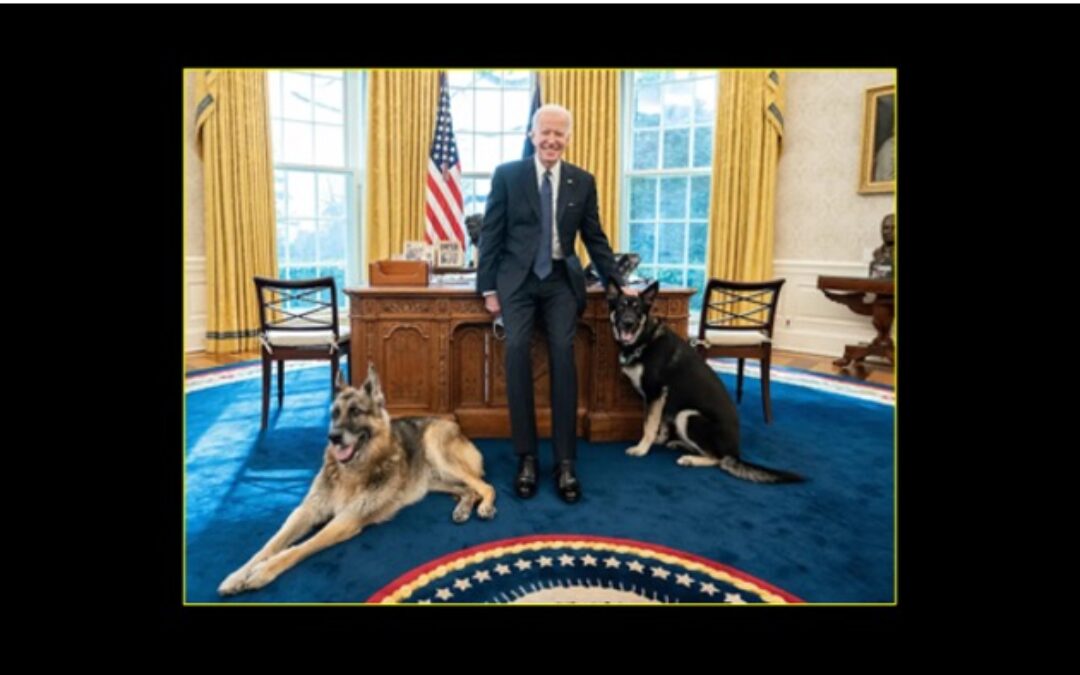 Why Biden’s Betting Unemployment Will Stay Low For Now