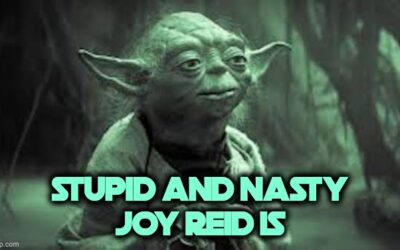 Joy Reid Takes Cheap Shot At DeSantis