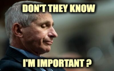 Musk Drop-Kicks Fauci On Twitter, Left Tries To ‘Clap Back’ … Fails Miserably
