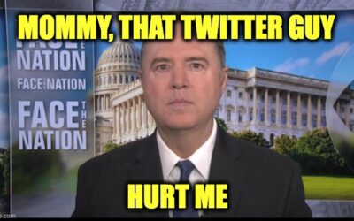 Adam Schiff Picks A Fight With Elon Musk …OUCH! That Was A Mistake