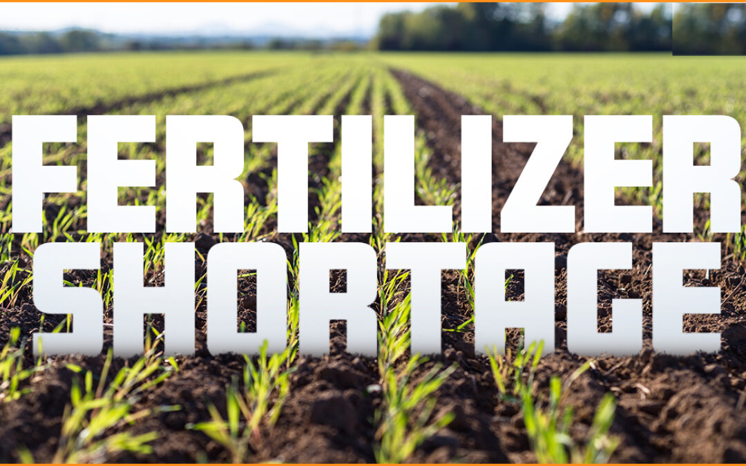 Fertilizer Shortage Puts World On Verge of Food Crisis