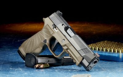 Colorado Dems Trying to Make it Harder to Bear Arms in Centennial State