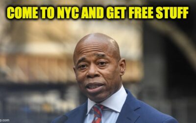 Illegals Welcome To NYC: Live In Luxury Hotel, Free College