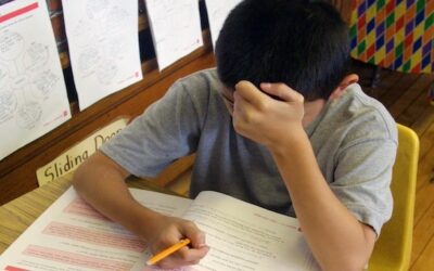 U.S. School Kids Test Scores in History, Civics Plummet
