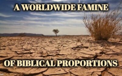 Store Food While You Still Can – Global Famine Accelerates