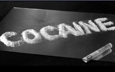 Dan Bongino, Says White House DOES Know Who Brought in Cocaine