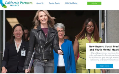 Is California Partners Project Tied To Silicon Valley Bank & SEI Climate Corp?