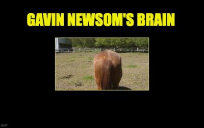 Gov Newsom Gets TORCHED In Community Notes After Whining About 2a Ruling