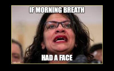Rep. Rashida Tlaib Should Be Censured, Expelled From Congress For Support Of Terror, Leading Insurrection