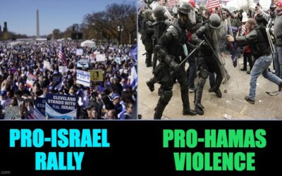 Peaceful Rallies Versus Violent Riots