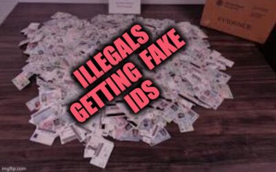 The Latest Fraud Scheme On Our Broken Border — Bogus IDs