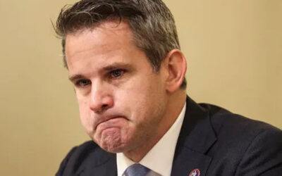 Now We Know: Adam Kinzinger was in it for the Money