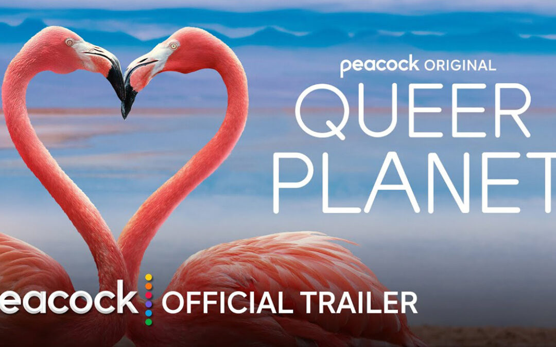 Peacock Set to Launch Gay Animal Series ‘Queer Planet’ for Gay Pride Month