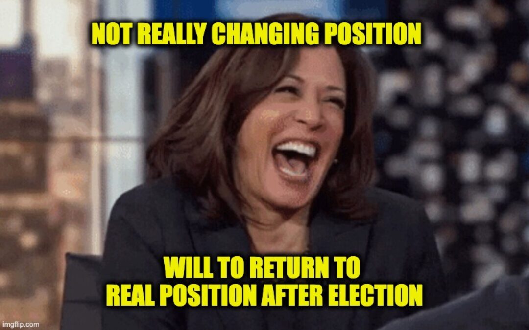 Kamala Voted To Keep NAFTA In 2020, Now Calls Tariffs ‘National Sales Tax’