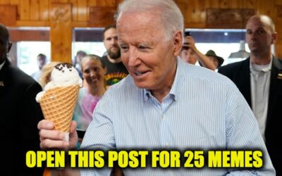 Screwing America, The Biden Presidency In Memes: PART 2- Joe Goes To The Primaries